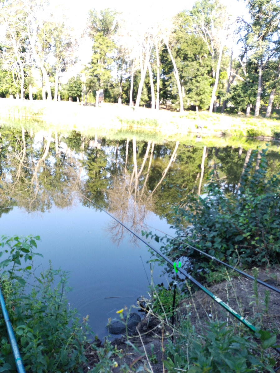 Рыбалка утром на небольшом водоёме.