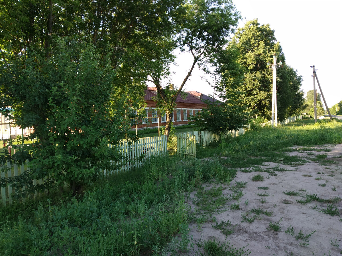 Здесь лежали бревна, на которых я впервые услышал слово на букву "ю". До сих пор трава не растет.