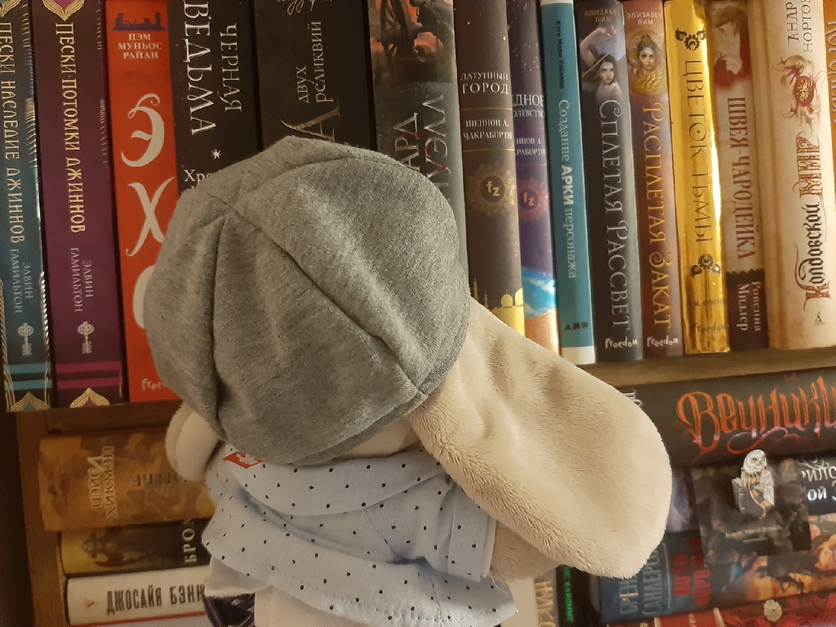 Клевер и книжные полки)