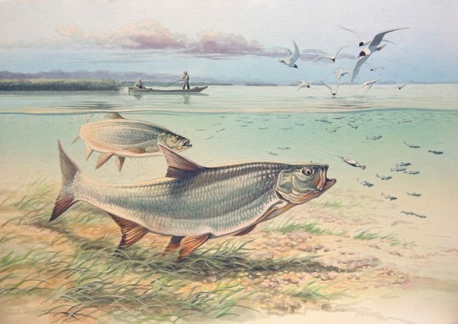 Источник: Яндекс.Картинки, 2021