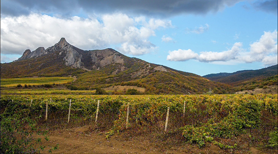 Осень в Крыму / Фото: Сергей Анашкевич