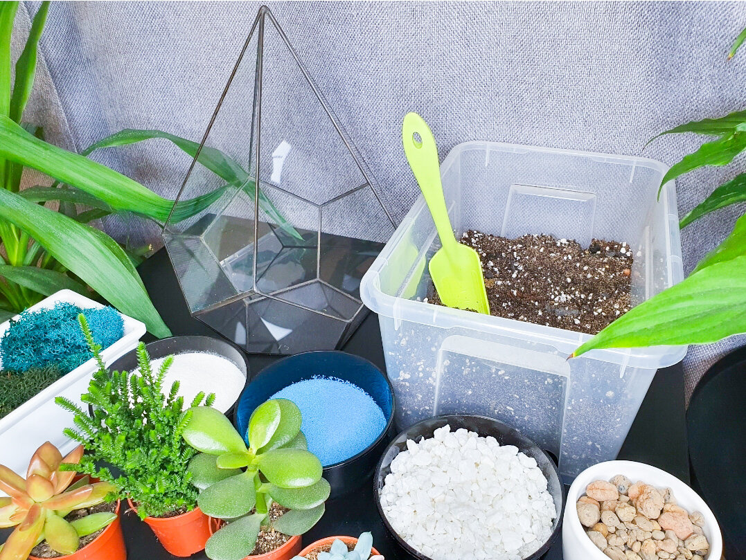 Набор для сборки флорариума