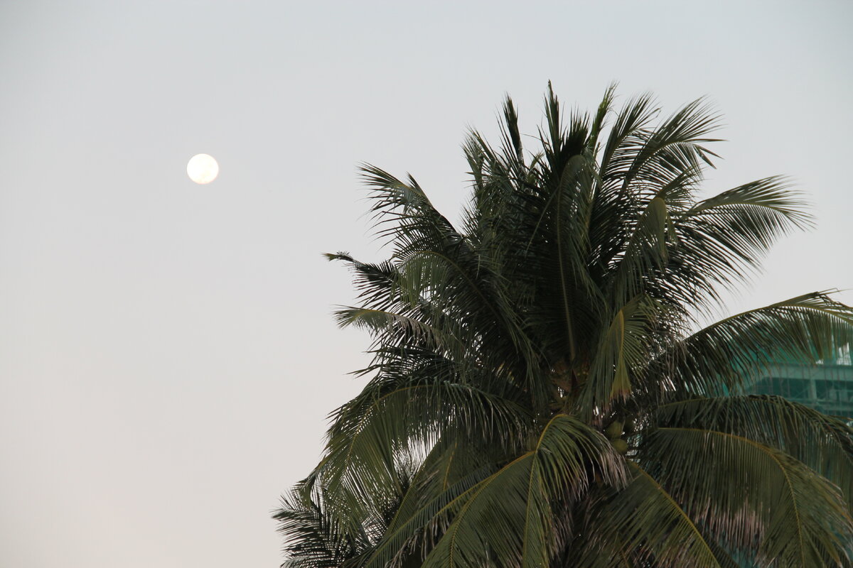 На острове Гуам почти все жители получили прививку. Как она повлияла на здоровье местных? Давайте разберемся.