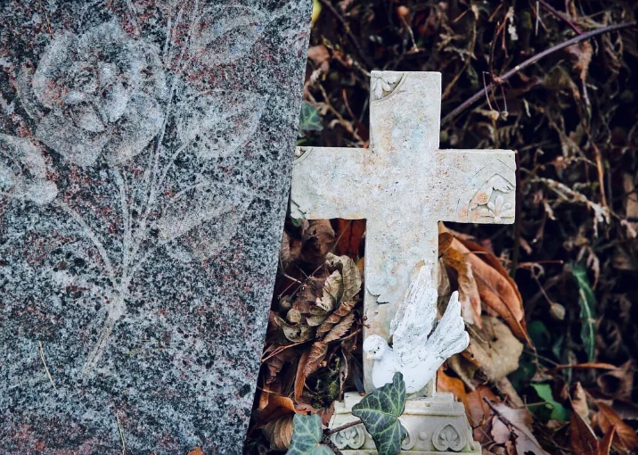 Добавьте описание