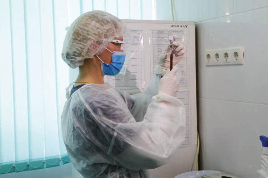 Фото: Наталья Сомова 