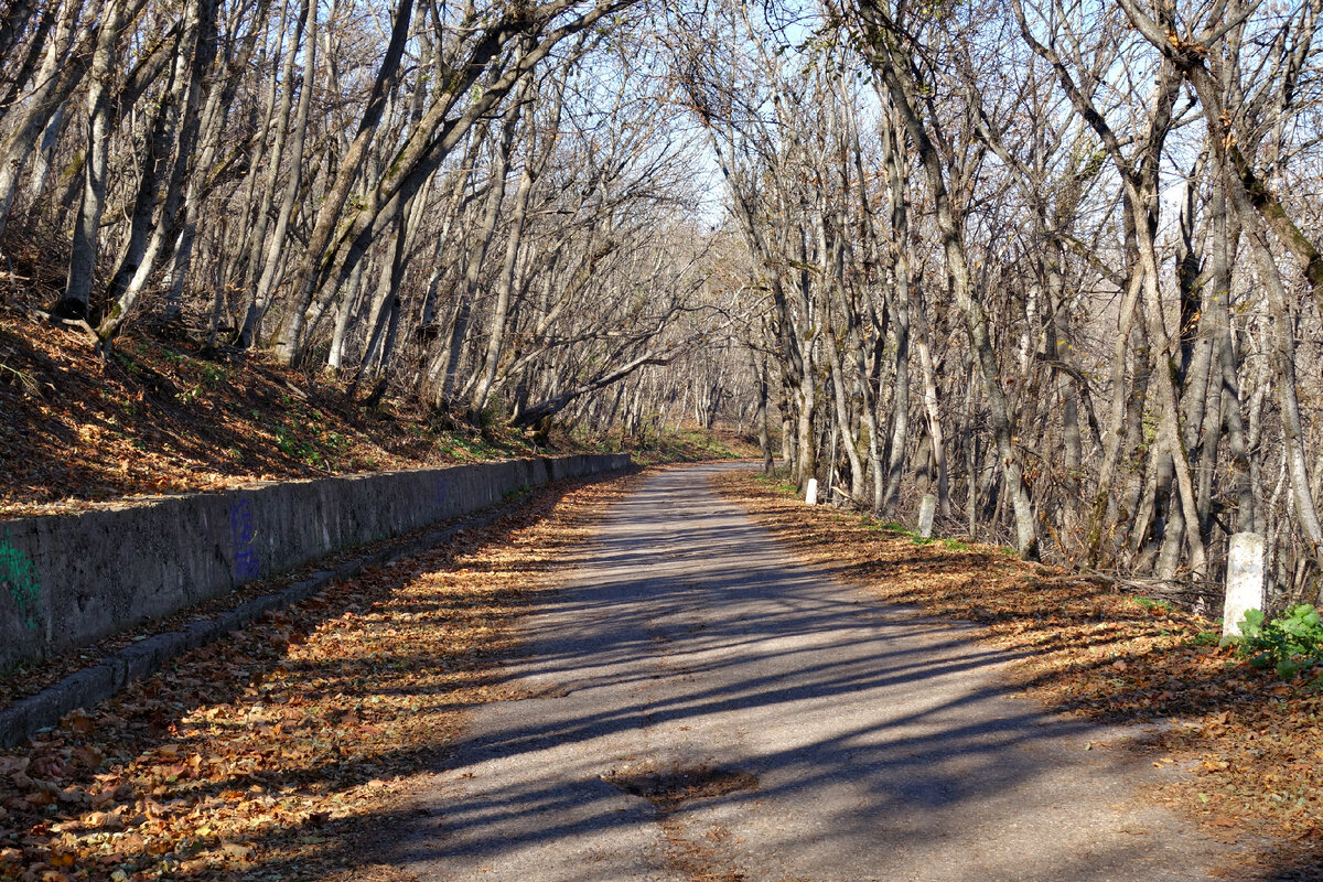 Дорога с Машука