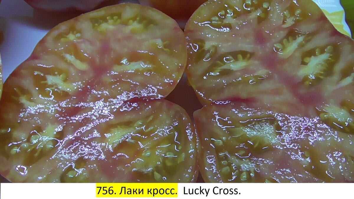 -75