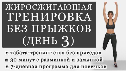 Жиросжигающая кардио-тренировка стоя в стиле табаты без прыжков и без приседаний на 30 минут. День 3 (Программа для начинающих)