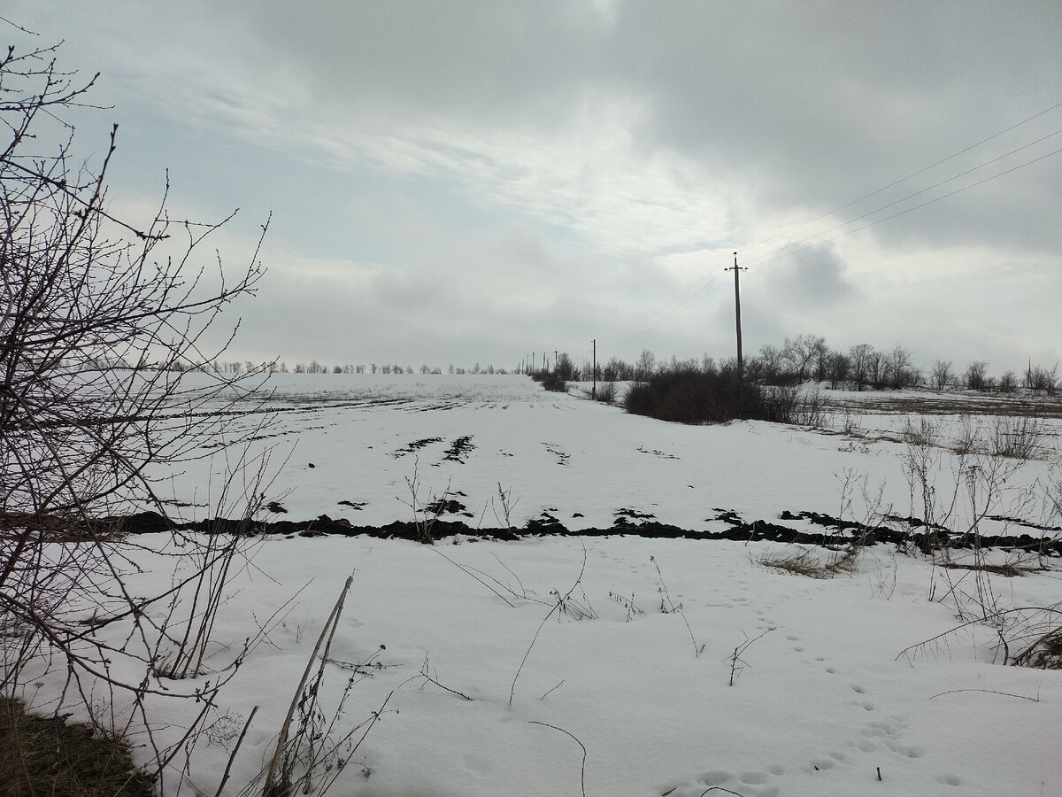 Огород паханый, чернозем