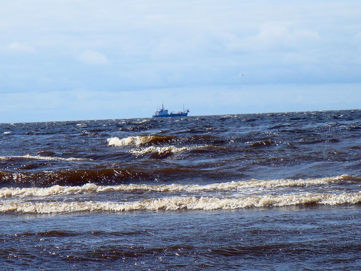 Белое море, южный берег..