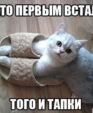 Кто первым встал, того и тапки!