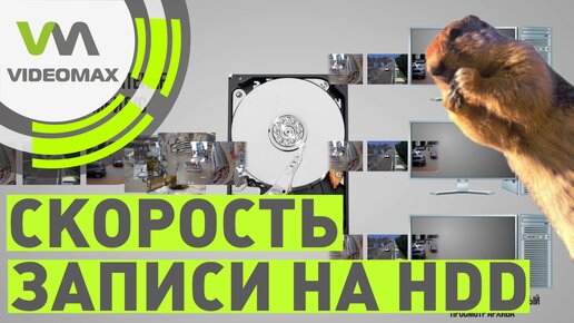 Скорость записи на HDD. Суслики IP видеонаблюдения