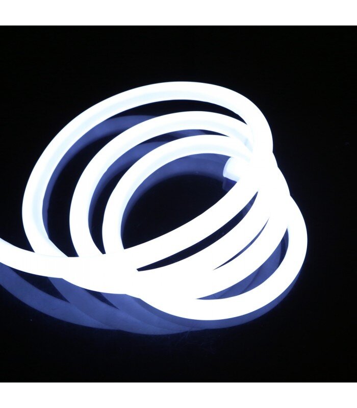 Круглый неон,в народе называют 360 градусов)Бывает диаметр 14 и 16 мм.Напряжение 12 и 220 вольт.Кратность резки у 220 вольт 1 метр, у 12 вольт 50 см.