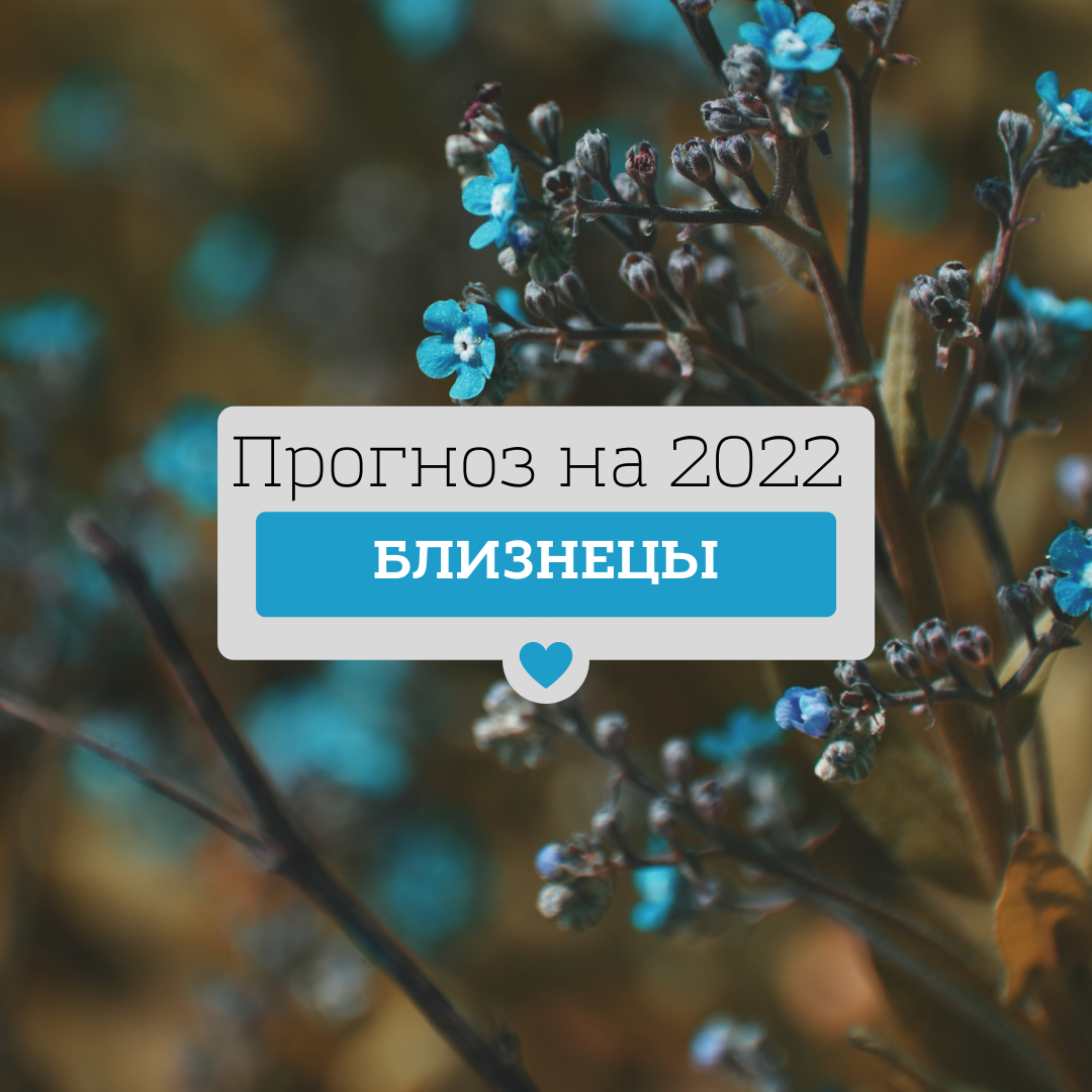 В новый 2022 год Черного Водяного Тигра Близнецы войдут легко и непринужденно. Множество планов и надежд, интересных идей и проектов вихрем закружатся с первых же дней 2022 года.