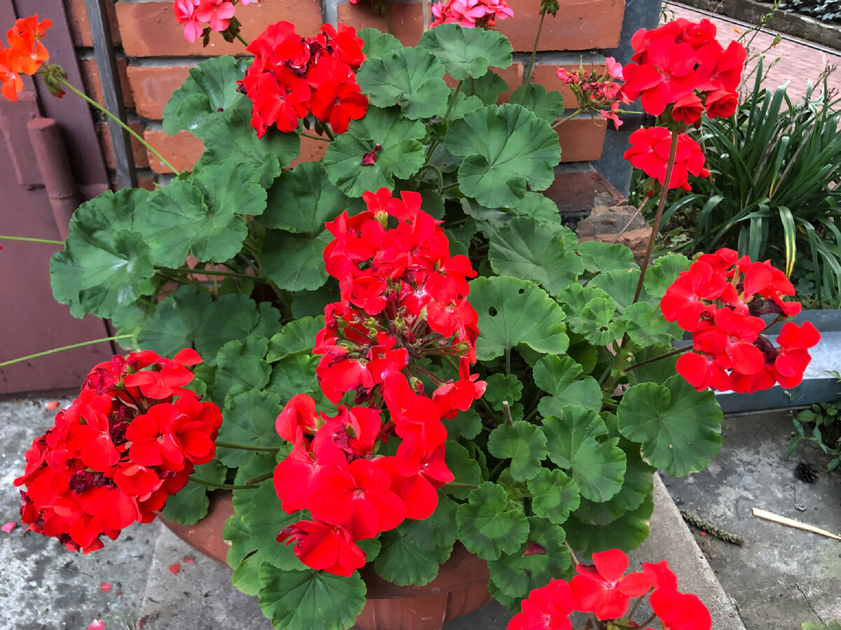 Личное фото 