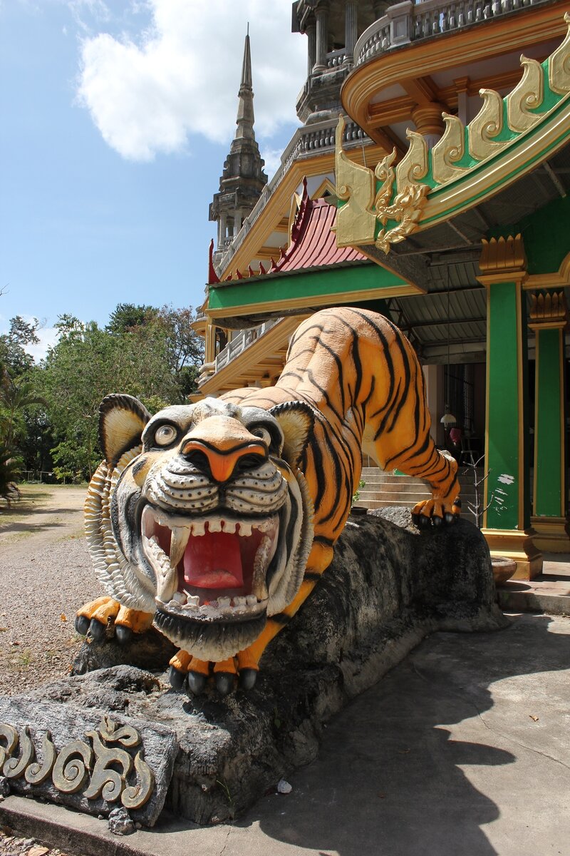 Храм Тигра, провинция Краби, Таиланд. Tiger temple, Krabi, Thailand 