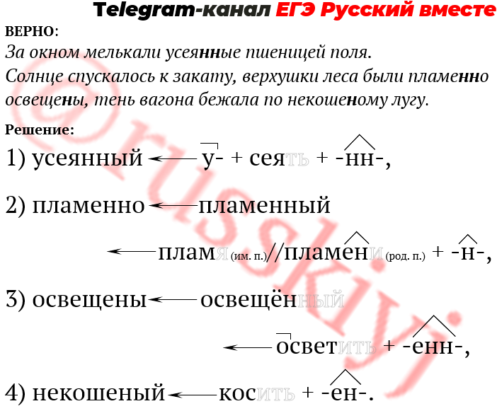 Презентация задание 8 егэ русский 2022