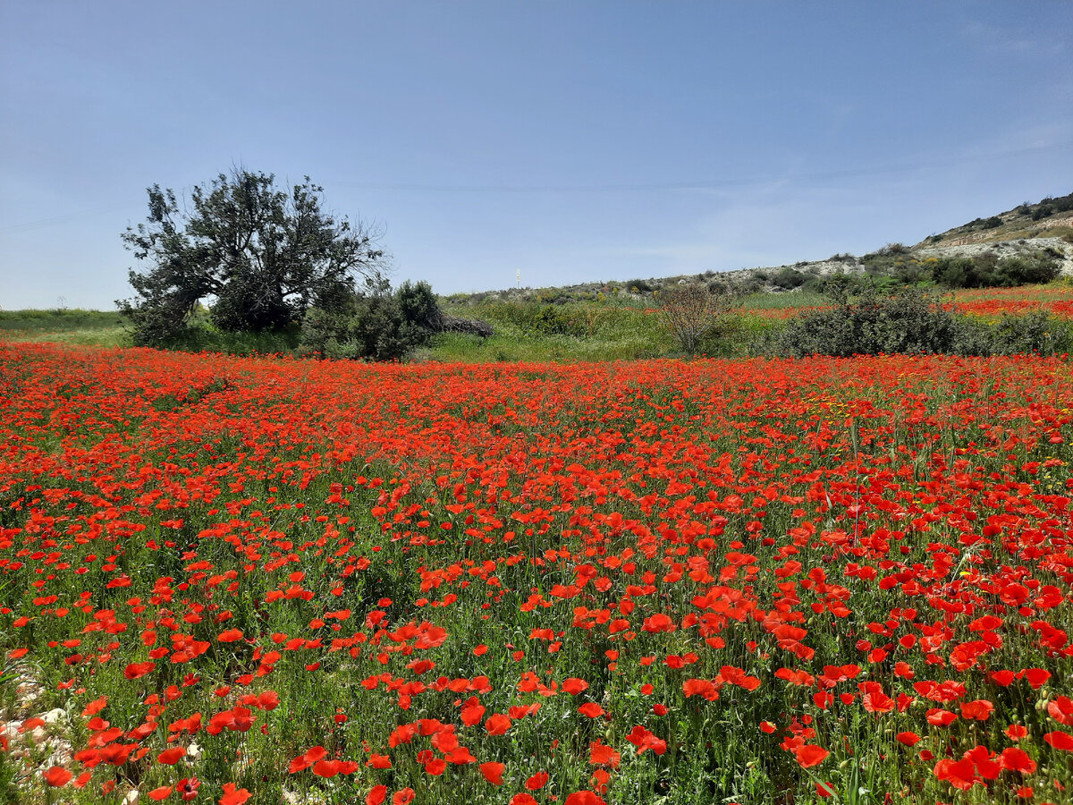 Это рядом с моим домом, 5 минут машиной.