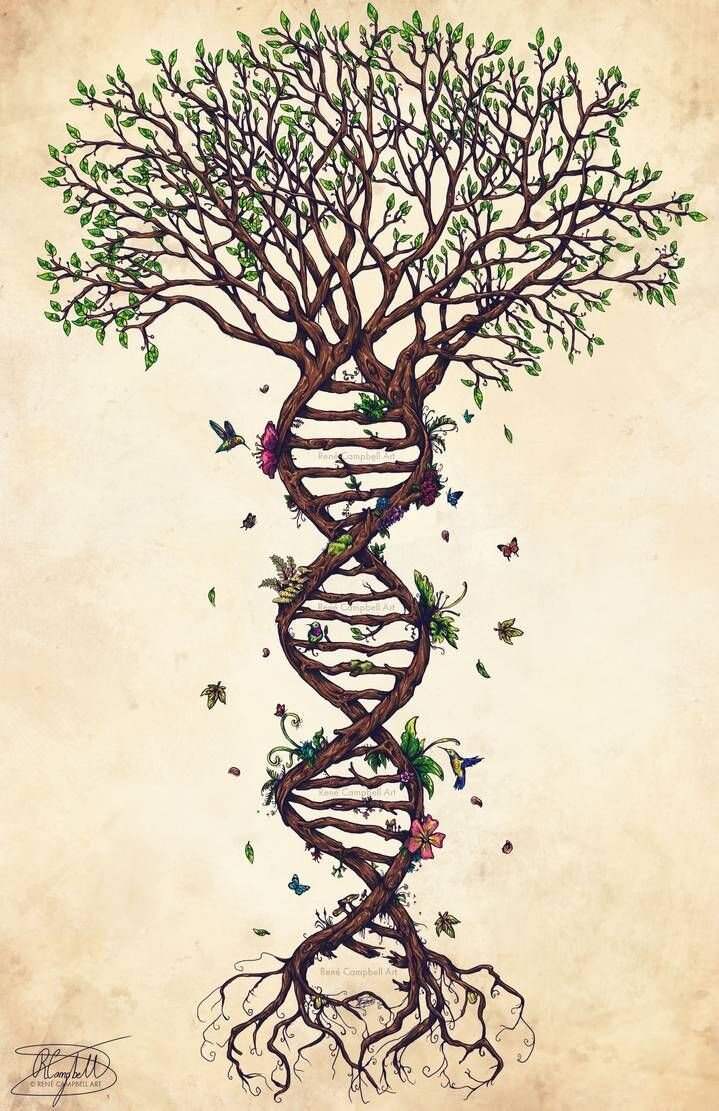 Изображение из открытых источников