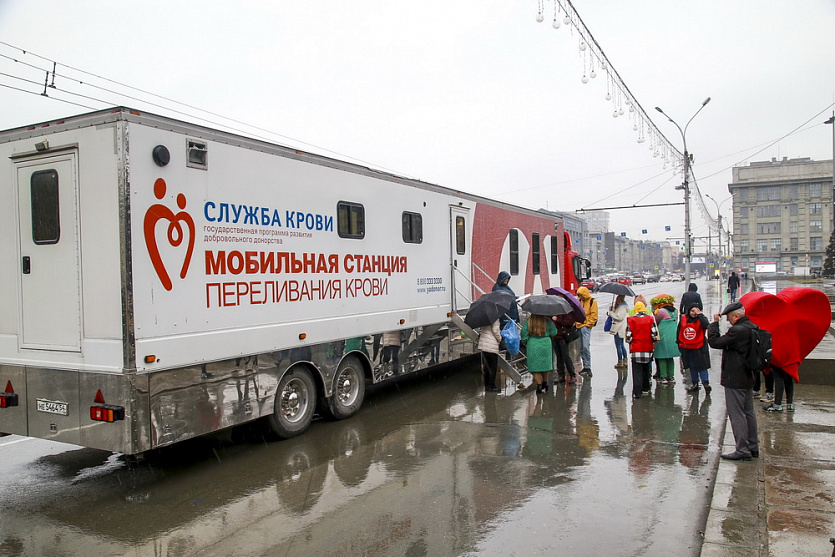 Фото: Павел Комаров, nsknews.info