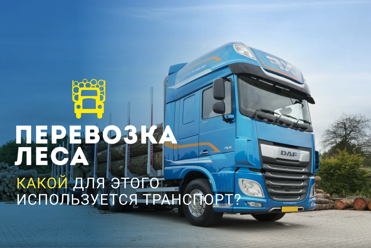 Основные виды транспорта, который используют для перевозки леса 