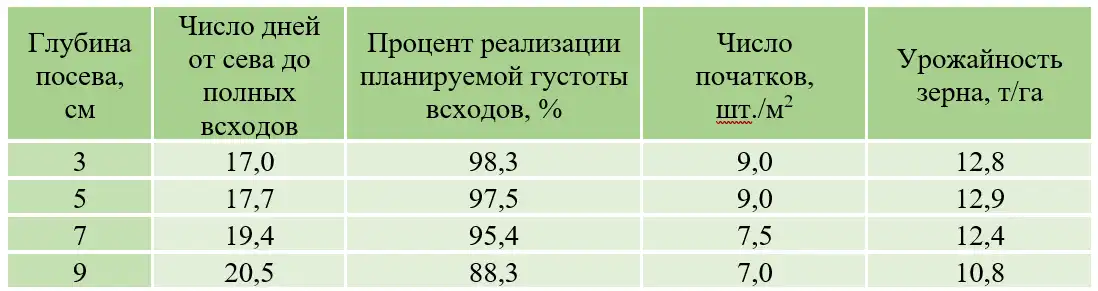 От чего зависит глубина посева семян ответ