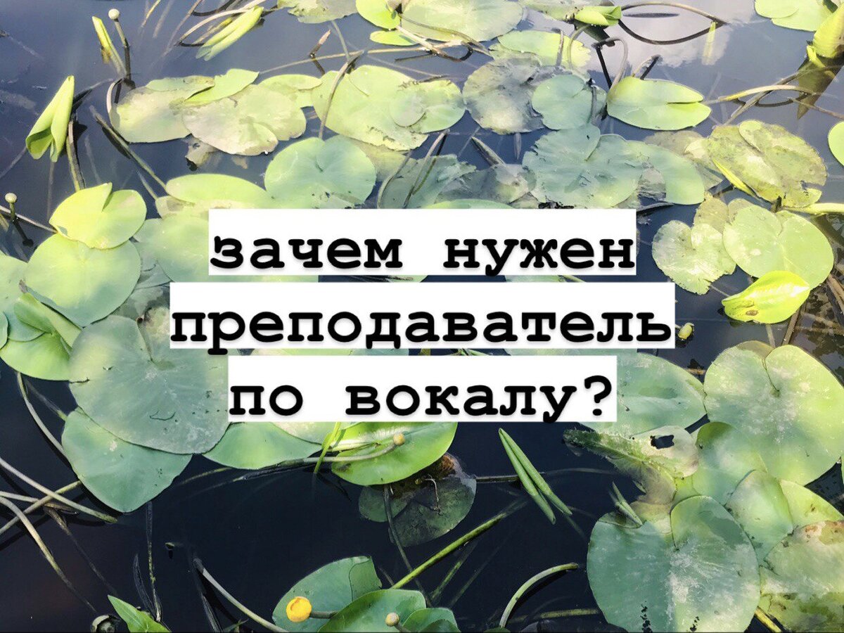 Зачем нужен преподаватель по вокалу? | Уроки вокала с Мариной Морж | Дзен