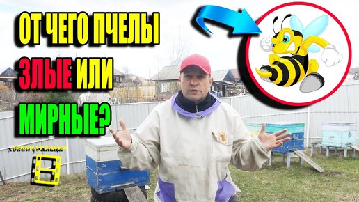 Какие типы ульев готовить весной