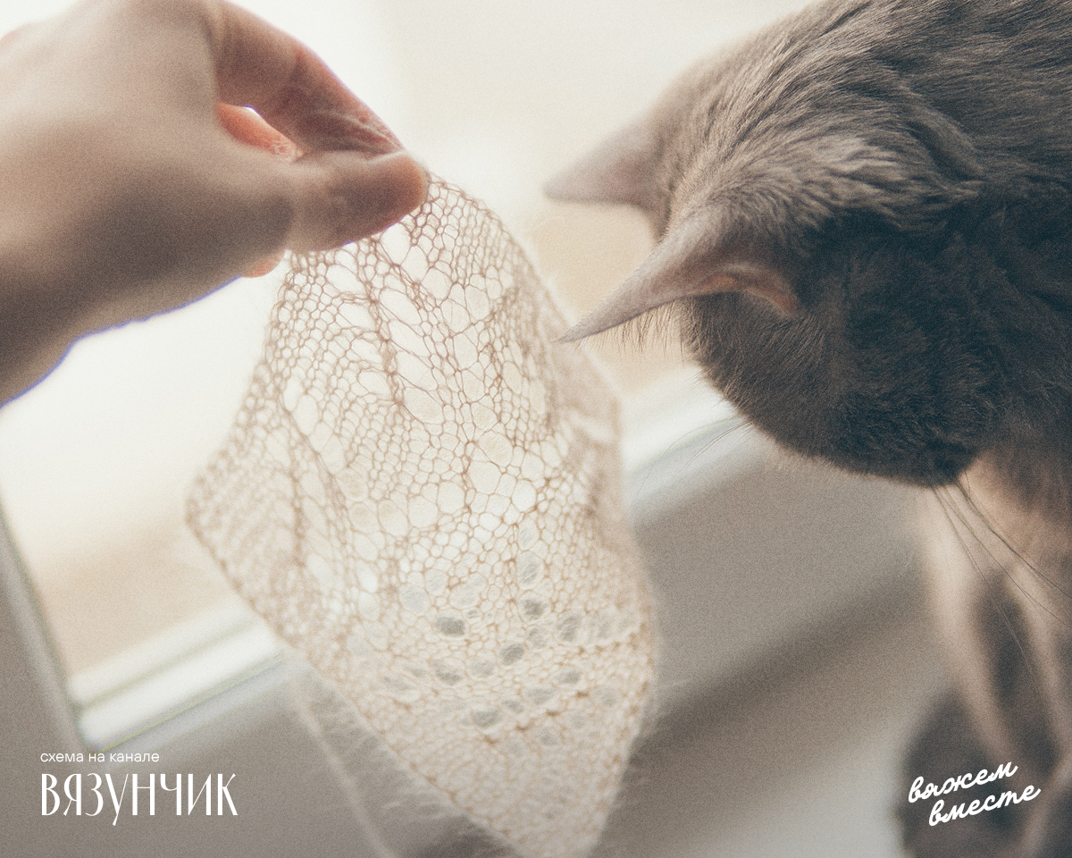 Моему любимцу интересно, что я делаю возле его окна 