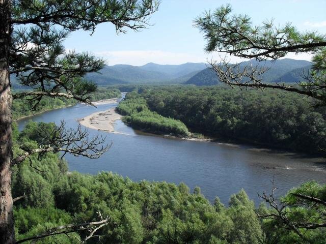 Река Уссурка Приморский край
