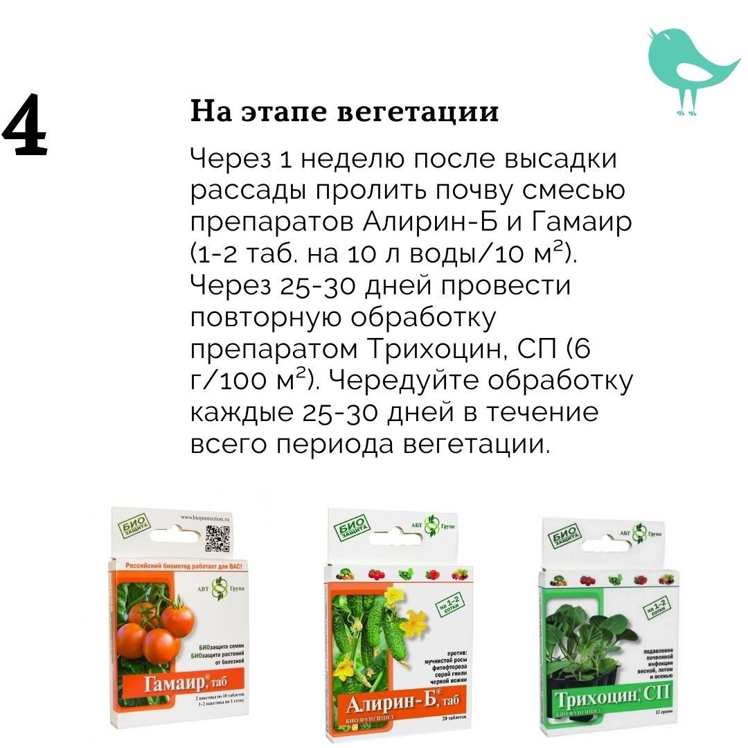 Обработка томатов гамаиром. Гамаир для рассады. Алирин и Гамаир. Алирин-б и Гамаир вместе. Алирин-б.