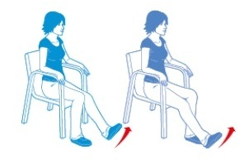 Картинка взята из открытых источников