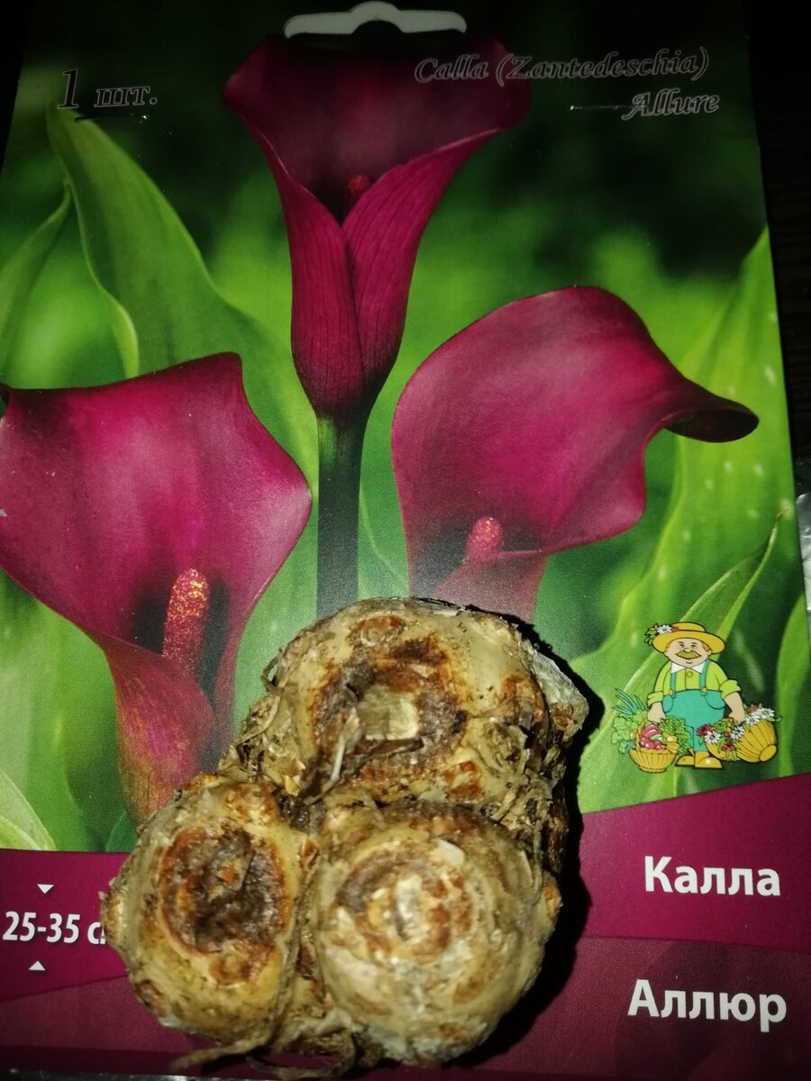 Фото автора канала