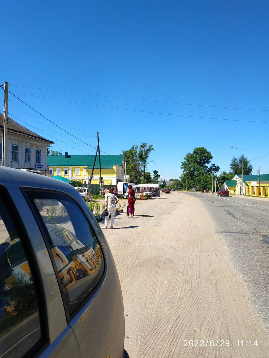 Алёна рассматривает цветы)