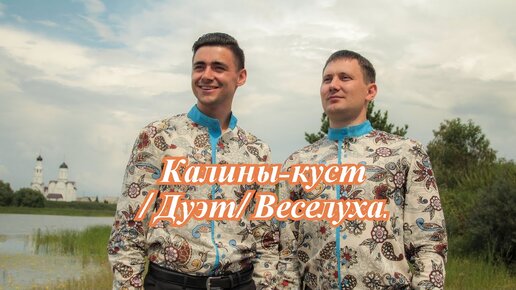 Дуэт веселуха калины куст