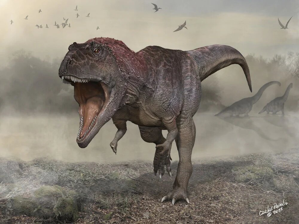 Тираннозавр фото и картинки