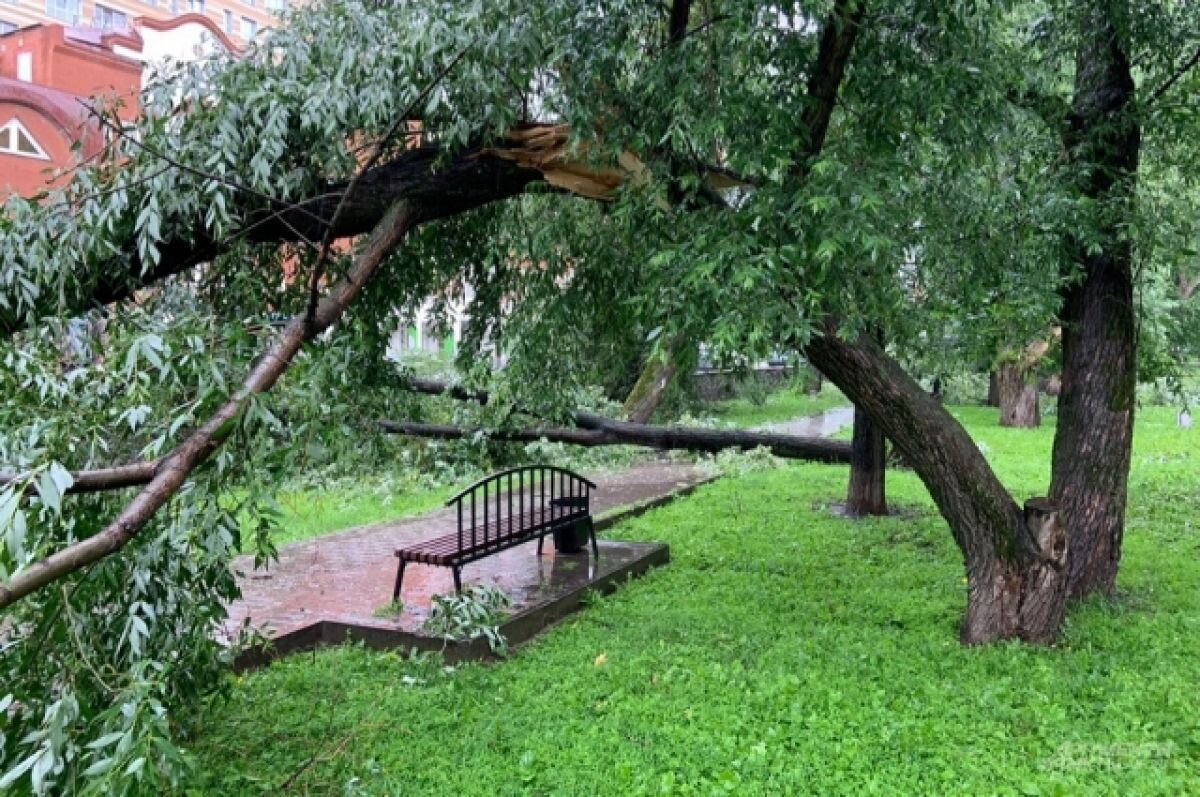    Ветер, ливень и грозы ожидаются 18-19 июля в Пермском крае