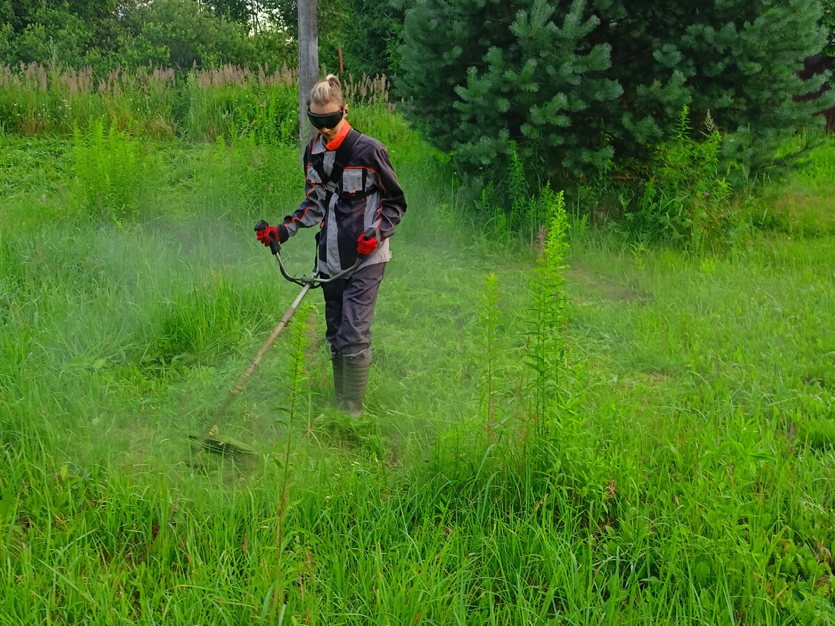 У него сейчас другие заботы, ту же лужайку выкосить