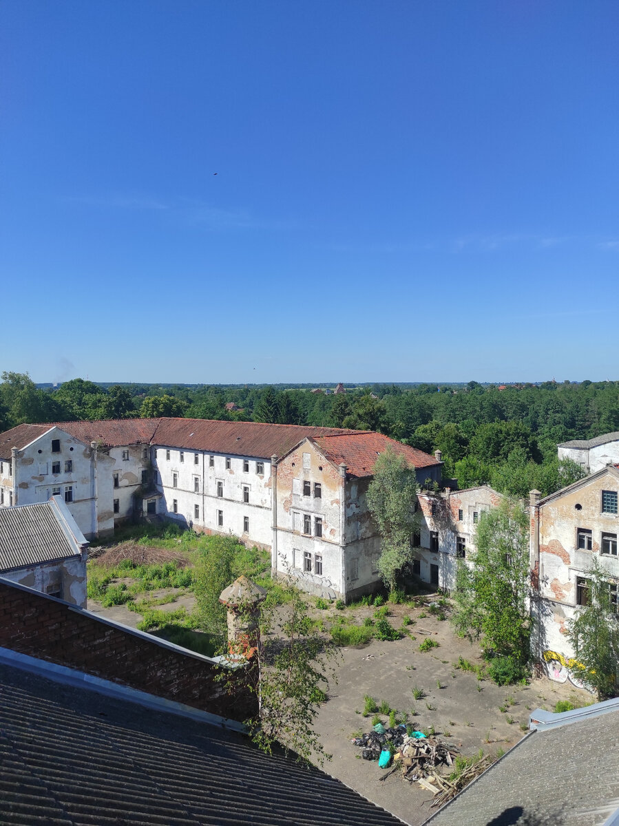 Вид на Алленберг с крыши одной из построек 