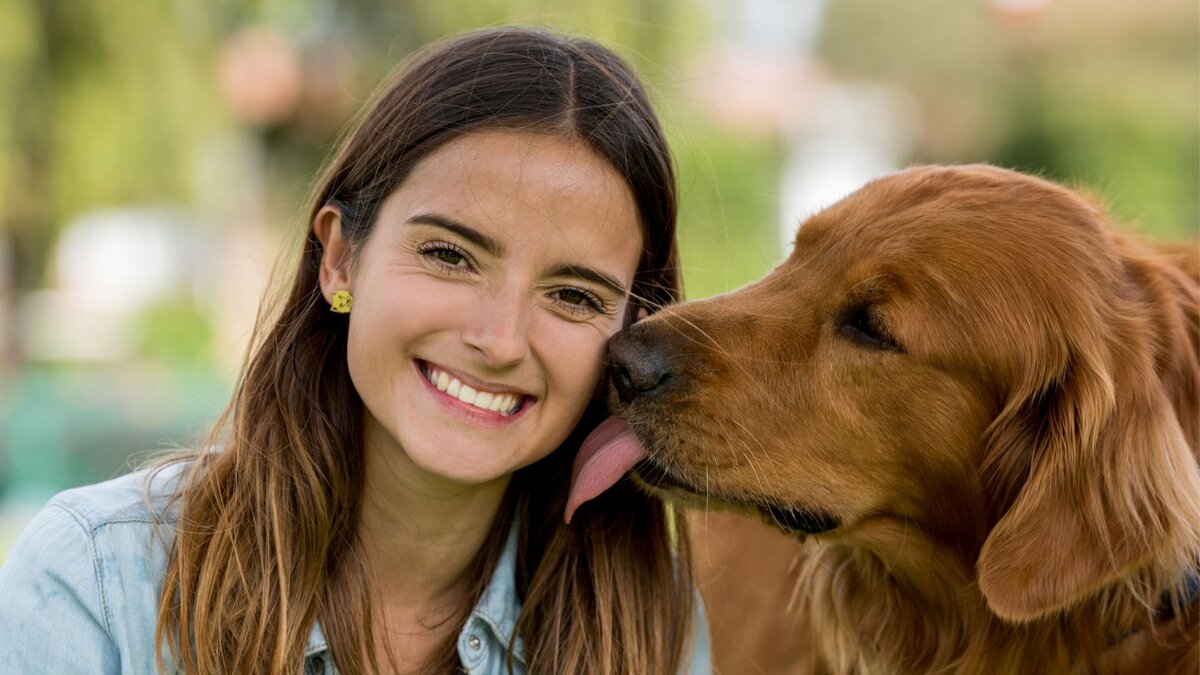 Собака лижет хозяйку 