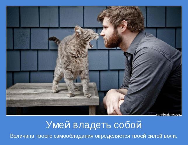 #гороскоп