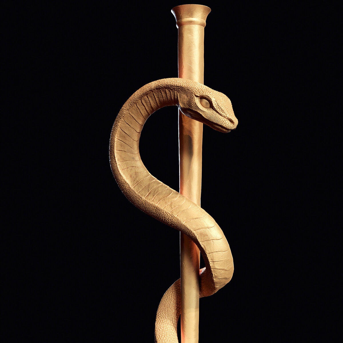 Возможно, каким-то таким был истукан Змея, обожаемый в капище Чернобога