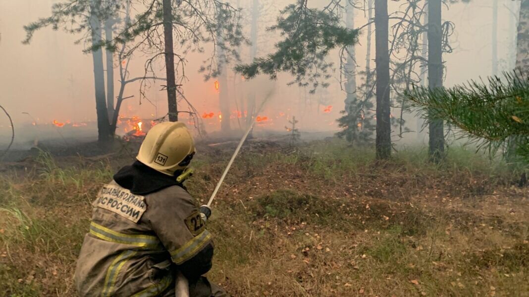    Фото: ГУ МЧС России по Рязанской области