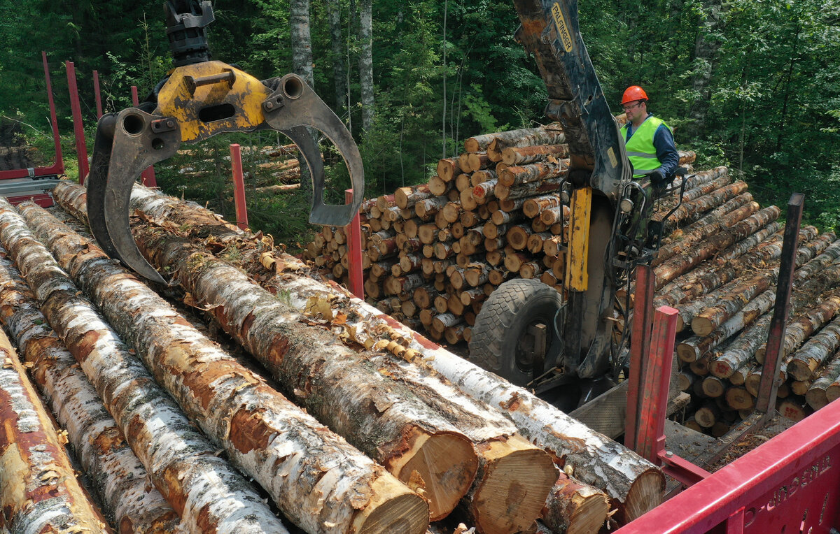 Александр Рюмин/ТАСС