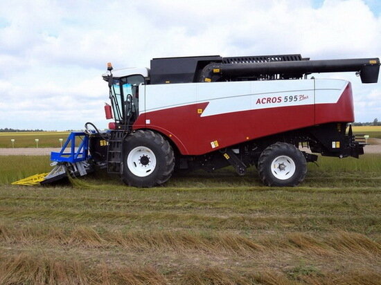     Фото Дениса Речкина