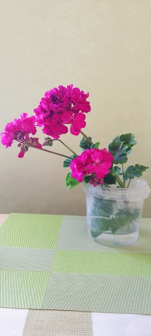 Вот такая была веточка