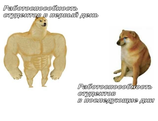 Авторский мем