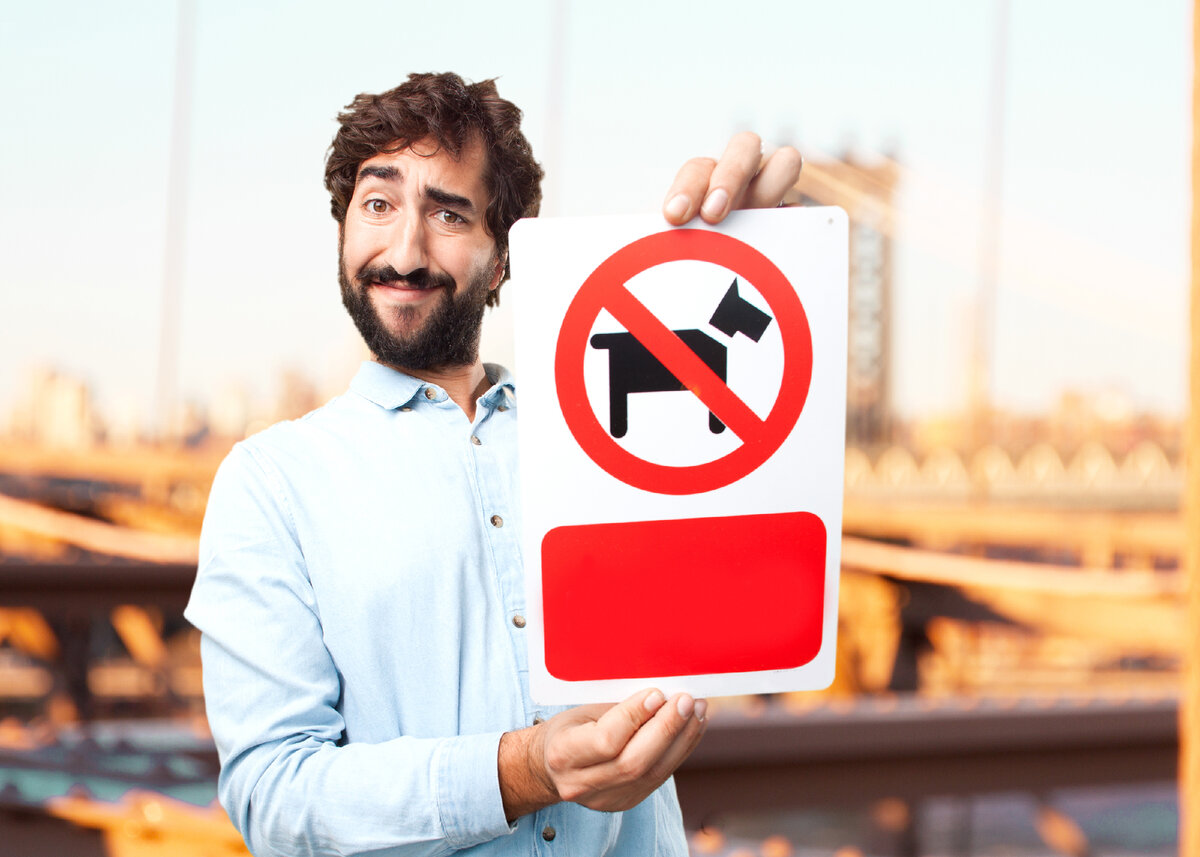 <a href="https://www.freepik.com/free-photo/young-businessman-happy-expression_1011254.htm / Image by kues1</a> on Freepik