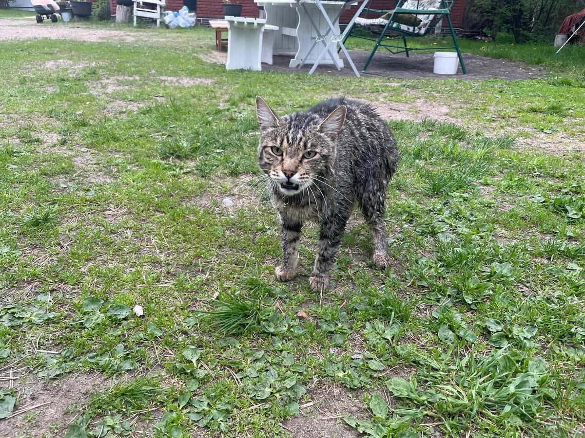«Убери камеру! Так и было задумано!»