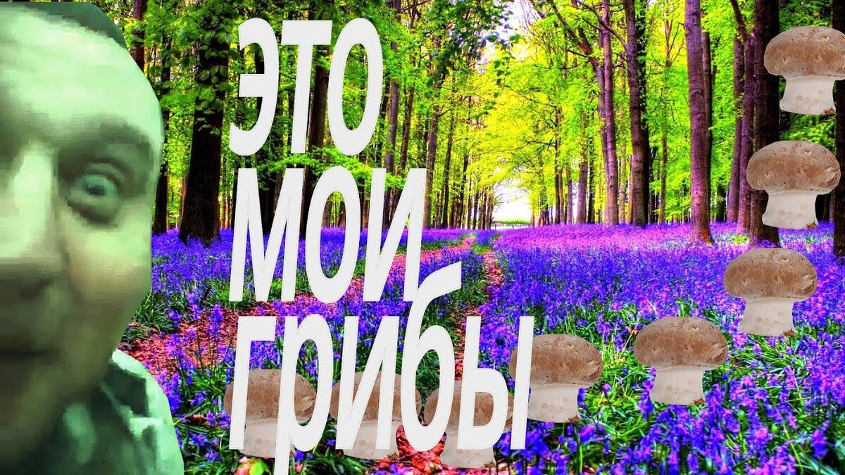 https://www.youtube.com/watch?app=desktop&v=PUMmVv4RA84